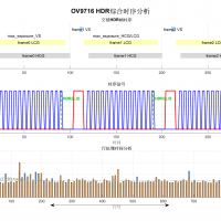 IP核心解決方案